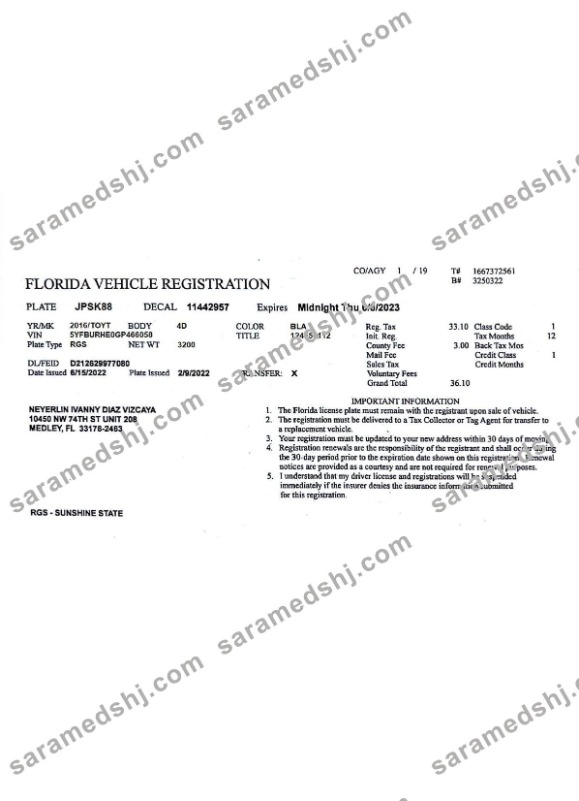 USA Florida vehicle registration license